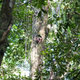 The Peruvian Amazon Rainforest in the Loreto region of Peru. Photo: Anna & Michal / Flickr